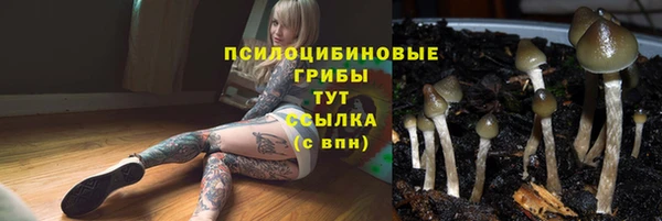 jwh Армянск
