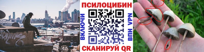 Галлюциногенные грибы мухоморы  кракен сайт  Лыткарино 